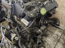 Fiat Ducato, F1ce0481d