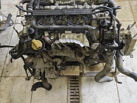 Fiat Doblo, 330a1000, pavarų dėžė
