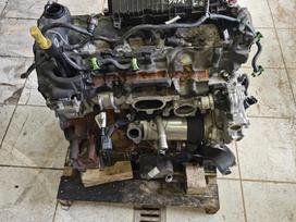 Ford Transit Custom, Ymf6