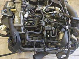 Ford Fiesta, Mojb