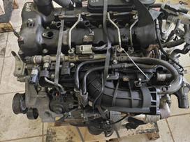 Hyundai Tucson, D4HA, Turime variklio galvute pilna ir pilnas variklio blokas galime