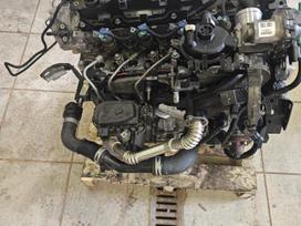 Citroen C4 Picasso, Bh02, Sveikas variklis turime ir dalimis bh01 bh02