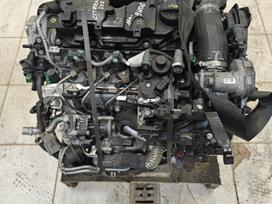 Citroen DS3, 9h06, pavarų dėžė, sankabos komplektas