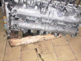Iveco Daily, F1cfa401