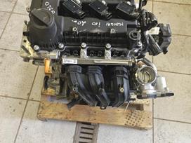 Kia Picanto, G3ld