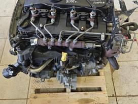 Ford Transit, 4hu