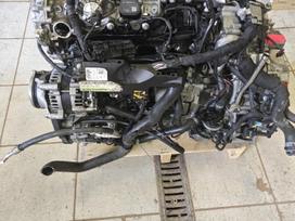 Mercedes-Benz A klasė, 282914, ātrumkārba
