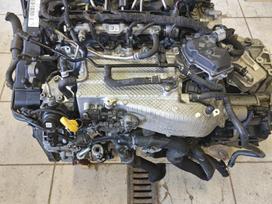 Volkswagen Tiguan, Dts, gearbox