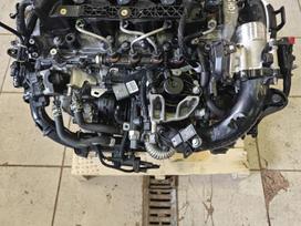 Peugeot 308, Yh01
