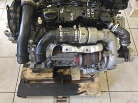 Ford Fiesta, Xujf