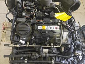 Mini Cooper, B38A15A, Sveikas variklis mech pavarų deze