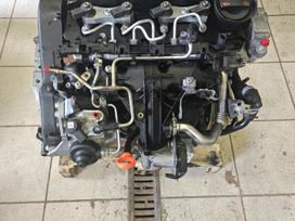 Skoda Octavia, Cfh, pavarų dėžė, sankabos komplektas