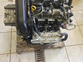 Volkswagen Golf, Chz