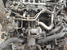 Audi Q5, Cjc, gearbox, clutch kit