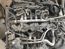Audi A5, Cjc, gearbox, clutch kit