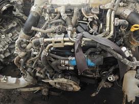 Toyota Hilux, 2gd, kardanas, pavarų dėžė, sankabos komplektas