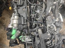 Ford C-MAX, T1da, pavarų dėžė, sankabos komplektas