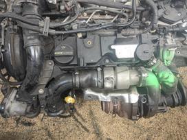 Ford Focus, T1da, коробка передач, комплект сцепления
