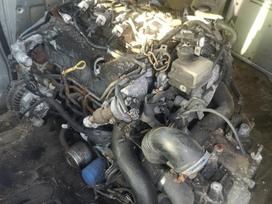 Mazda 5 Tvarkingas