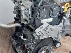 Volkswagen Tiguan, CZP