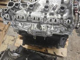 Volkswagen Golf, Cjs, dzinēja detaļas