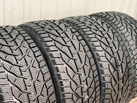 Tigar Winter, žieminės 215/50 R17