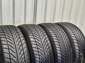 Goodyear UltraGrip Performance, winter 205/55 R16