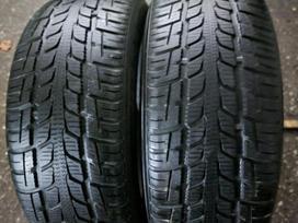 Nexen, universalios 225/50 R17