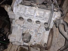 Volkswagen Polo, Cgg