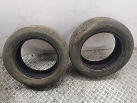 Doublestar Landrider, žieminės 235/60 R18