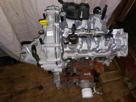 Ford Puma, L1TR 7002 GFB, Yra ir automatas