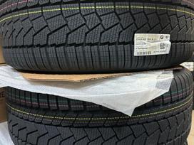 Continental TS 860 S, зимние 245/40 R20