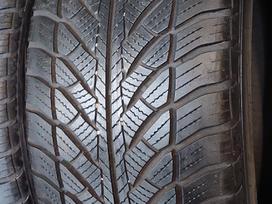Goodyear, ziemas 245/45 R19