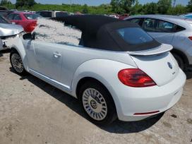 Volkswagen Beetle rezerves daļās. Dėl dalių skambinkite 370 601 801 26 viber wh