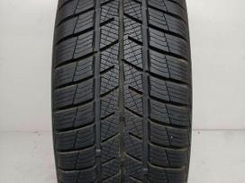 Barum Polaris 5 2023m, žieminės 215/55 R17