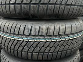 Continental TS 830 P, ziemas 205/60 R16