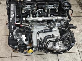 Volkswagen Tiguan, DFG, Sveikas variklis turime ir dalimis pavarų dėžė rpk sanka