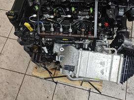 Ford S-MAX, Ymcb