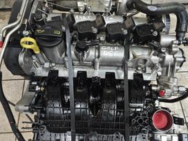 Volkswagen Golf, Dge, Variklis beges 40000km turime ir dalimis varikliu