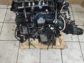 BMW 2 serija, B47c20a, Sveikas variklis