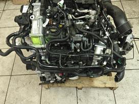 Ford Fiesta, M0jd