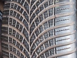 Goodyear, vissezonas 245/45 R19