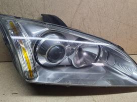 Ford Focus Zibintas europa ksenon