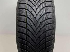 Semperit Speed Grip 5 2023m, žieminės 215/55 R16