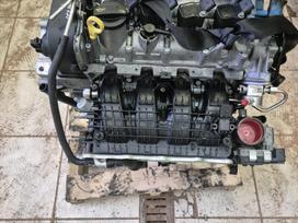 Volkswagen Golf, Cyv