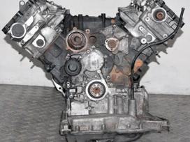 Audi Q7 Variklis dalimis