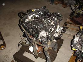 Ford Focus, B7DA, dzinēja detaļas