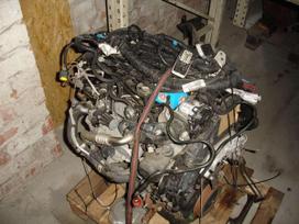 Ford Focus, XWDB, engine parts