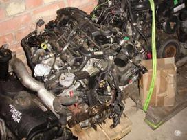 Ford Mondeo детали двигателя
