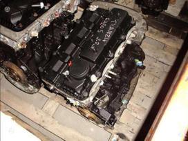 Ford Transit dzinēja detaļas